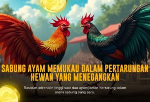 Dominasi Arena dengan Ayam Bangkok di SV388: Sabung Ayam Online Terpercaya