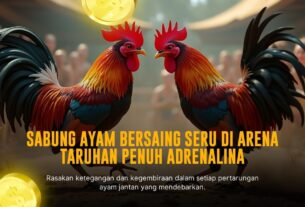 Rahasia Ayam Bangkok dalam Sabung Ayam SV388
