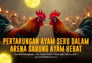 Mengenal Ayam Bangkok dalam Sabung Ayam Online SV388
