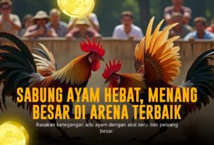 Mengenal Ayam Bangkok: Raja Sabung Ayam Penuh Strategi