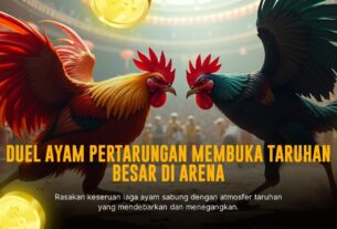 Mengenal Keunikan dan Peluang Taruhan Sabung Ayam SV388