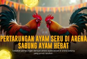 Mengenal Ayam Bangkok Dalam Sabung Ayam Online SV388