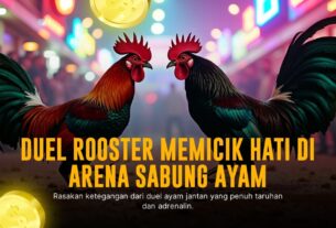 Mengenal SV388: Raja Provider Sabung Ayam Online