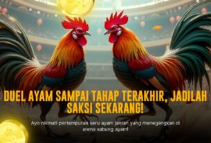 Mengupas Tuntas Jenis Ayam Petarung dalam Dunia Sabung Ayam