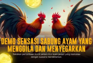 Mengenal Jenis Ayam Bangkok di Sabung Ayam SV388